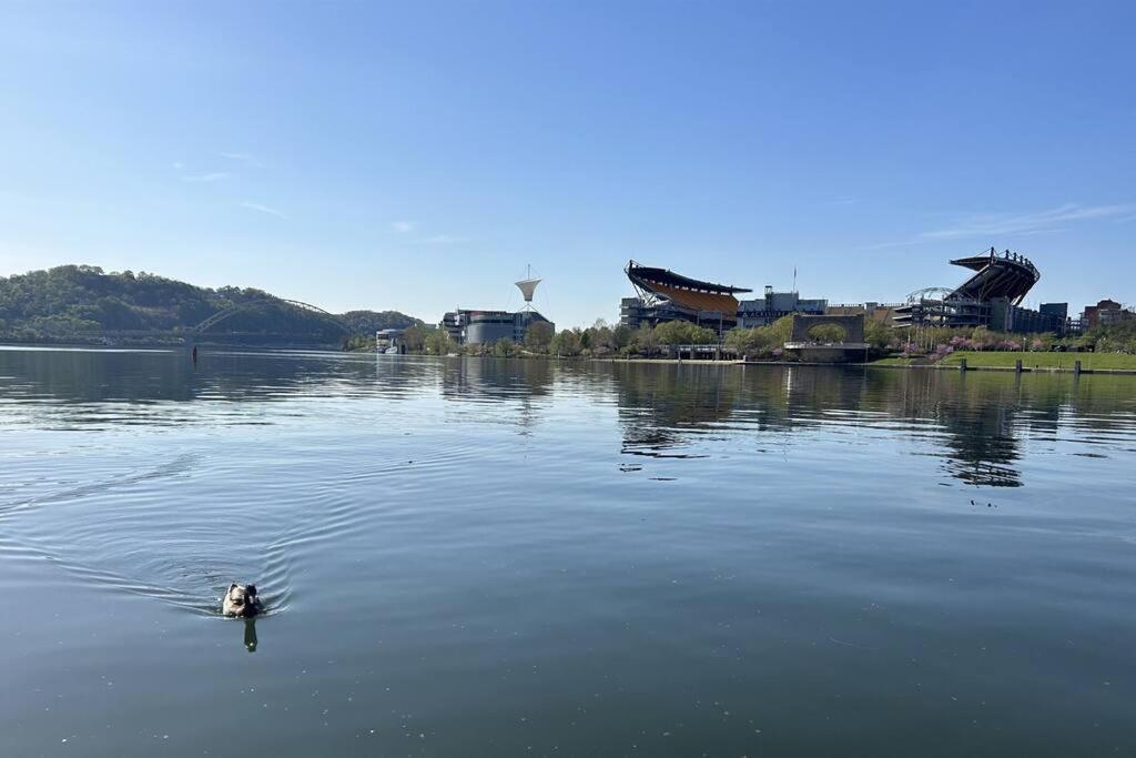 Sprawling Stadium Views Wonderful Location 24-7 Parking Gym Lounge Pittsburgh Exterior photo